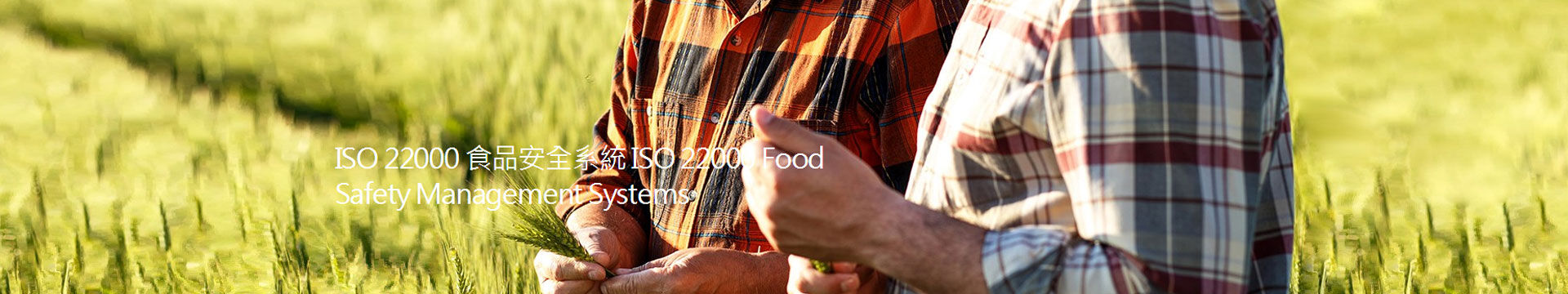 iso22000食品安全管理體系認證咨詢及輔導培訓