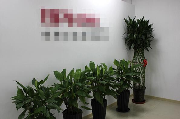 恭喜**國際貿(mào)易(廣州)有限公司通過Smeta-4P驗(yàn)廠