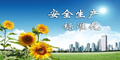 什么是安全生產(chǎn)標(biāo)準(zhǔn)化？
